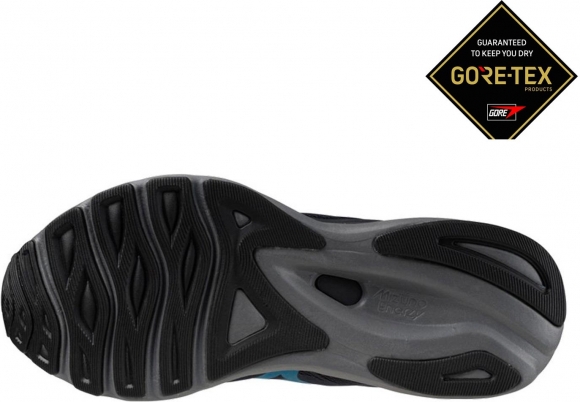 J1GC2460 01 MIZUNO Wave Serene GTX / Кроссовки