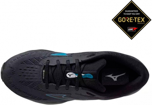 J1GC2460 01 MIZUNO Wave Serene GTX / Кроссовки