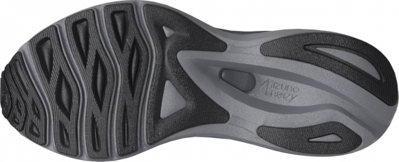 J1GC2460 01 MIZUNO Wave Serene GTX / Кроссовки
