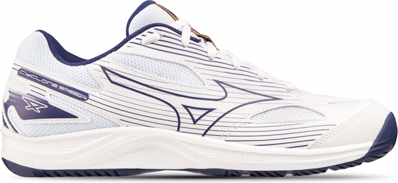 V1GA2380 43 MIZUNO Cyclone Speed 4 / Волейбольные кроссовки