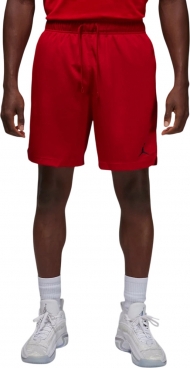 FN5816 687 NIKE M J DF SPRT MESH SHORT / Шорты