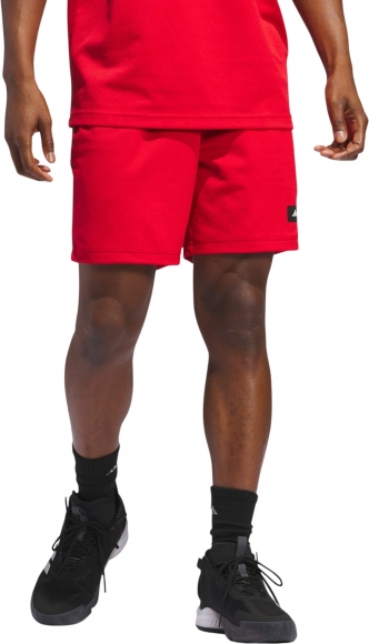 IN2570 ADIDAS LGD SHORTS / Шорты