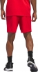 IN2570 ADIDAS LGD SHORTS / Шорты