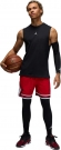 HF9910 687 NIKE M J DF SPRT DMND SHORT / Шорты