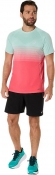 2011D248 001 ASICS 7in Road Short / Шорты