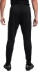 FD7672 010 NIKE M NK DF ACDPR24 PANT KPZ / Брюки