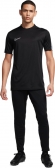 FD7672 010 NIKE M NK DF ACDPR24 PANT KPZ / Брюки