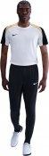 FN2405 017 NIKE M NK DF STRK PANT KPZ / Брюки