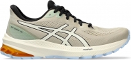 1011B761 250 ASICS GT-1000 12 TR / Кроссовки универсальные 1011B761 250 ASICS GT-1000 12 TR / Кроссовки универсальные