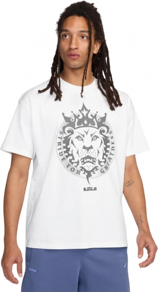 HJ3341 100 NIKE LBJ M NK TEE M90 SP25 / Футболка