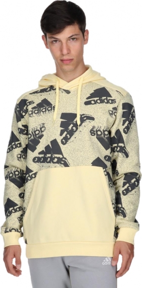 HK0367 ADIDAS M BL Q3 HD / Толстовка