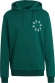 HC4491 ADIDAS BLD HOODY / Толстовка