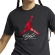 AO0664 010 NIKE JUMPMAN FLIGHT HBR TEE / Футболка
