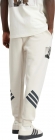 JI5723 ADIDAS M SW TM SWTPNTS / Брюки