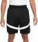DV9524 010 NIKE M NK DF ICON 8IN SHORT / Шорты