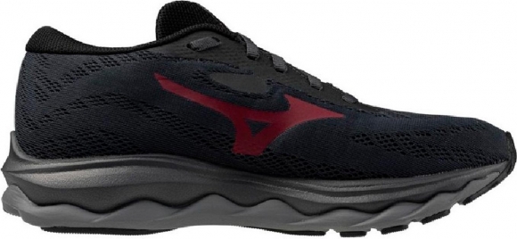 J1GD2460 21 MIZUNO Wave Serene GTX (W) / Кроссовки