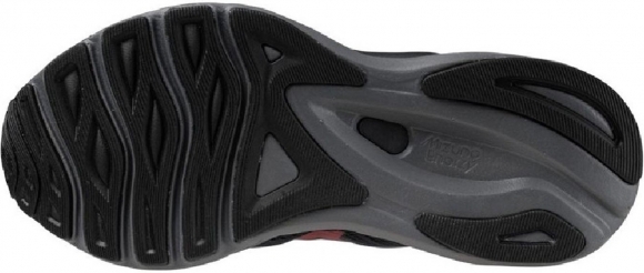 J1GD2460 21 MIZUNO Wave Serene GTX (W) / Кроссовки