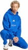 JJ3663 ADIDAS M A SZN G CG PT / Брюки