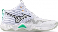 V1GA2517 21 MIZUNO Wave Momentum Elite MID / Волейбольные кроссовки