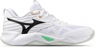 V1GA2540 21 MIZUNO Wave Momentum Pro / Волейбольные кроссовки