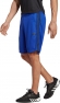 IB8248 ADIDAS TR-ES PIQ 3SHO / Шорты