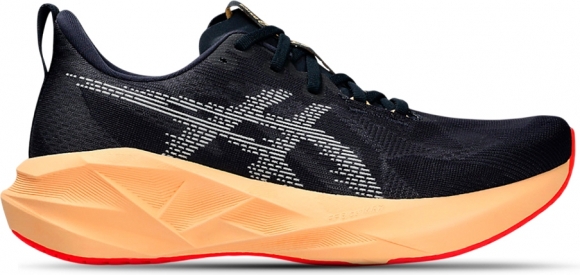 1011B974 404 ASICS Novablast 5 / Кроссовки 1011B974 404 ASICS Novablast 5 / Кроссовки