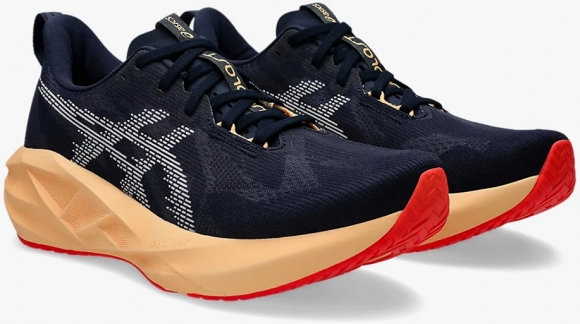 1011B974 404 ASICS Novablast 5 / Кроссовки 1011B974 404 ASICS Novablast 5 / Кроссовки