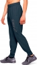 2031A977 409 ASICS Big Logo Sweat Pant / Брюки