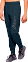 2031A977 409 ASICS Big Logo Sweat Pant / Брюки