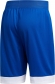 DY7375 ADIDAS C365 SHORT / Шорты