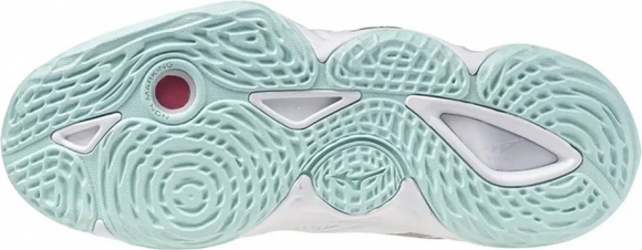 V1GC2512 45 MIZUNO Wave Momentum Elite (W) / Волейбольные кроссовки