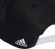 HT6356 ADIDAS DAILY CAP / Кепка