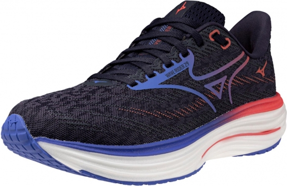 J1GD2503 21 MIZUNO Wave Rider 29 (W) / Кроссовки