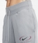 FN7716 084 NIKE W NSW PHNX FLC HR OS PANT PRNT / Брюки