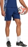 JI6552 ADIDAS TIRO25C TR SHO / Шорты