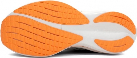 J1GC2503 05 MIZUNO Wave Rider 29 / Кроссовки J1GC2503 05 MIZUNO Wave Rider 29 / Кроссовки