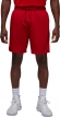 FN5816 687 NIKE M J DF SPRT MESH SHORT / Шорты
