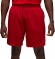 FN5816 687 NIKE M J DF SPRT MESH SHORT / Шорты