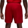FN5816 687 NIKE M J DF SPRT MESH SHORT / Шорты