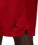 FN5816 687 NIKE M J DF SPRT MESH SHORT / Шорты