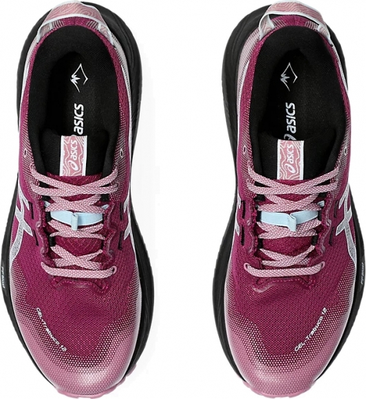 1012B605 500 ASICS GEL-Trabuco 12 (W) / Кроссовки-внедорожники