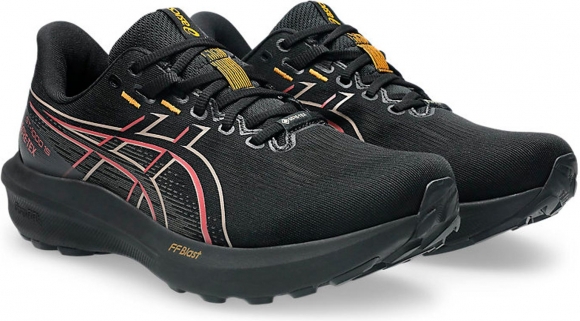 1011C233 001 ASICS GT-1000 15 GTX / Кроссовки 1011C233 001 ASICS GT-1000 15 GTX / Кроссовки