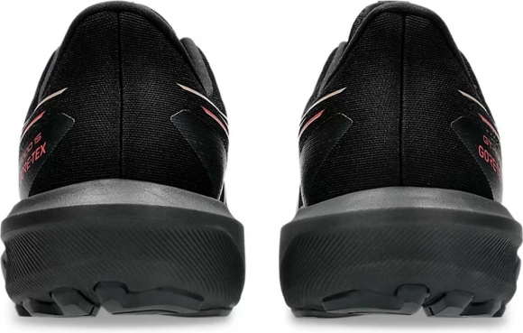 1011C233 001 ASICS GT-1000 15 GTX / Кроссовки 1011C233 001 ASICS GT-1000 15 GTX / Кроссовки