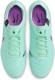 DV4333 300 NIKE LEGEND 10 PRO FG / Бутсы