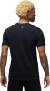HJ2336 010 NIKE M J FLT ESS WM SS CREW / Футболка