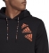 HL9376 ADIDAS M Q4 BL HD / Толстовка