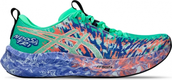 1011B872 301 ASICS Noosa Tri 16 / Полумарафонки