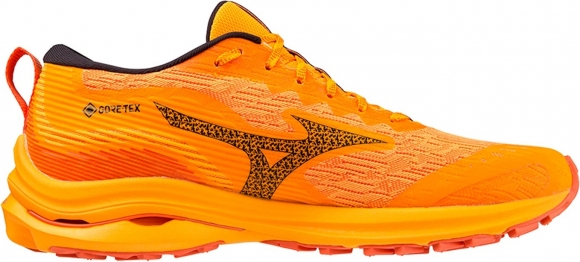 J1GC2279 02 MIZUNO Wave Rider GTX / Кроссовки