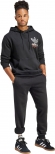 IM9678 ADIDAS TREFOIL HOOD 3 / Свитшот