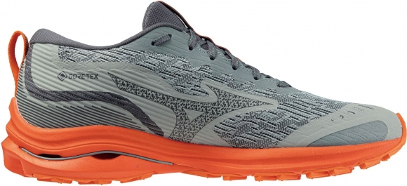J1GC2279 52 MIZUNO Wave Rider GTX / Кроссовки